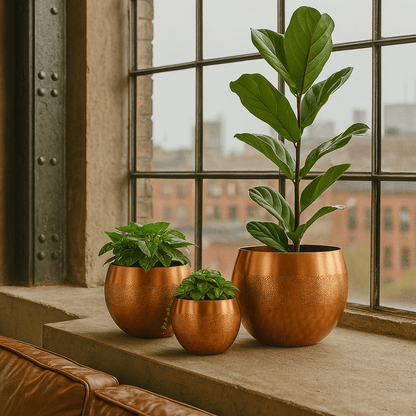 Decor Planters - Handcrafted Moroccan Copper by Cuivra