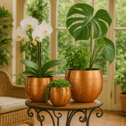 Decor Planters - Handcrafted Moroccan Copper by Cuivra
